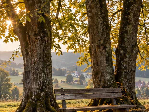 Lavička pod třemi lipami na podzim