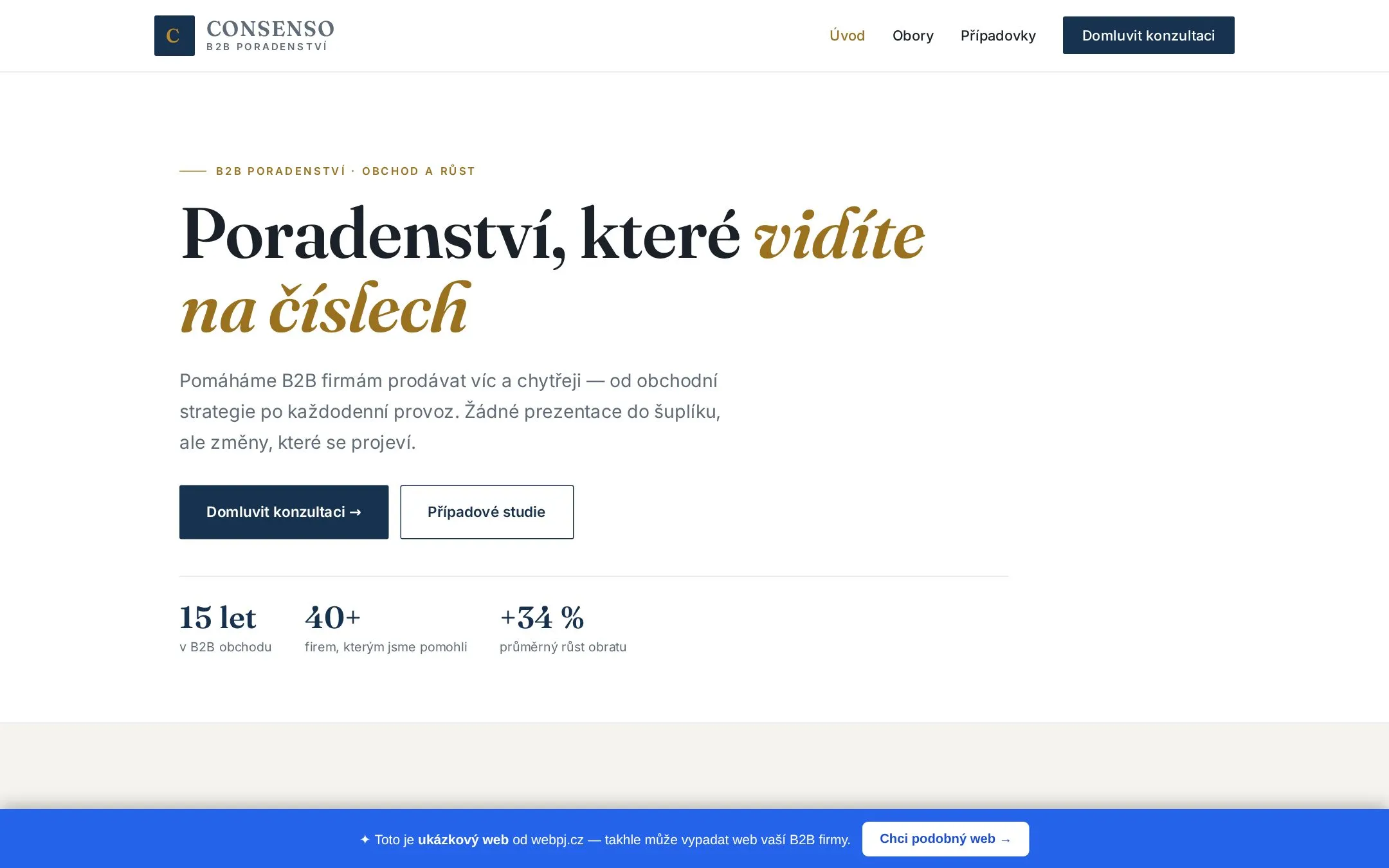Web pro B2B poradenství / služby